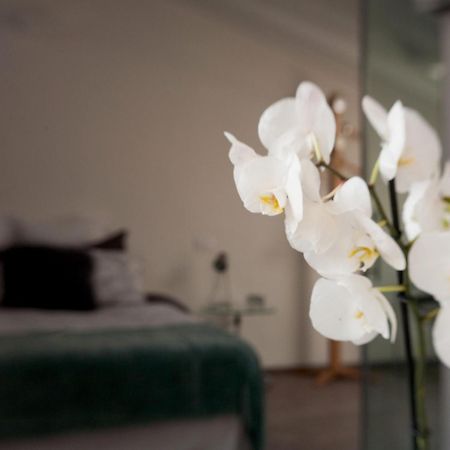 San Clemente Bed & Breakfast Crema Exterior photo